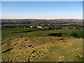 Thornham Fold