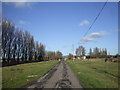 Road from the sea wall, near Elm Tree Farm, Goldcliff