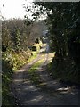 Track at Trebell Green