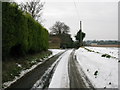 Looking SSW down Ivy Cottage Hill