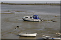 Tide out, on the estuary