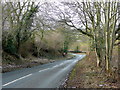 B4221 between Phocle Green and Upton Bishop 2