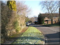 A frosty morning in Mead Way