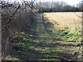 Byway near Fyfield