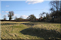 Ground behind cottages, Welsh Road