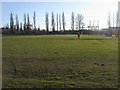 SU3812 : Millbrook Recreation Ground by Shaun Ferguson