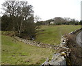 Skelton Hall from Steeping Gill