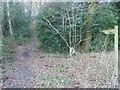 Footpath to Packridge Lane