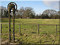 Paddock on ridge and furrow, Manor Farm