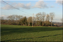 TQ4336 : Woodland north of Cansiron Lane by N Chadwick