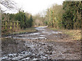 Frozen track at Nohome Farm