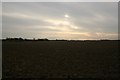 Farmland, south of Happisburgh