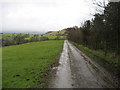 Access Track near Bowley Hill