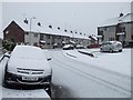 Snowbound, McClay Park, Omagh