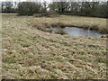 Frozen ponds in rough pasture near Oldhouse Farm