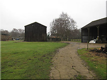 TL6356 : Barns by Brinkley Road by Hugh Venables