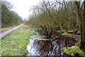 Swampy ground beside trackbed of ex-Great Central Railway, Rugby