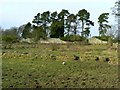 Remains of Lochore House