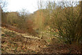 View from Hillmorton Road down to the ex-Great Central Railway trackbed