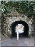 SN1405 : Tunnel on the mineral line, Saundersfoot by Humphrey Bolton