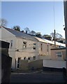 Rear of houses on Hele Road