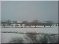 Snowy fields east of Clunderwen