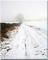 Bridleway towards Newsham Lodge