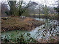 River Gipping near Alder Carr