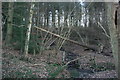 Small stream in Sawpit Wood