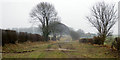 Bridleway towards Stoupes Cottage