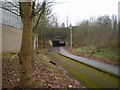 Underpass below the A442 Eastern Primary