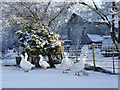 Geese In the snow at Kirkandrews on Eden