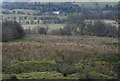 Marsh below the road