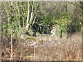 Derelict building, Mynydd Alltir-fach