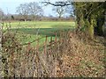 Arable land, Lower Daggons