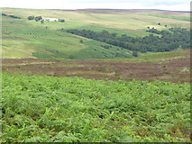 NY9847 : Middles and the valley of Burnhope Burn by Mike Quinn