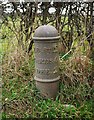 J5579 : Old milepost, Cottown by Rossographer