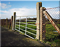 Field gate, Bangor