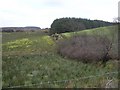 Gortfinbar Townland