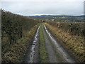 Green Lane leading to Brownsills