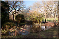 Pond in Central Park - Plymouth