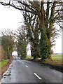 View south-east along Reedham Road