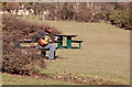 Guitarist in Central Park - Plymouth