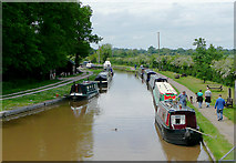SJ6352 : Shropshire Union Canal near Nantwich, Cheshire by Roger  D Kidd