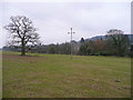 Pasture land near Weston under Penyard