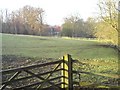 Paddock near Playford Hall