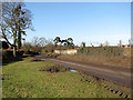 Approaching Brettenham from the A1066 road