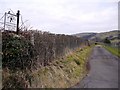 Nethervale farm roadend