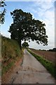 Public bridleway/farm road to Checkley Wood Farm