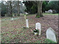 The churchyard at St Matthew, Blackmoor (9)